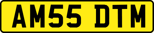 AM55DTM