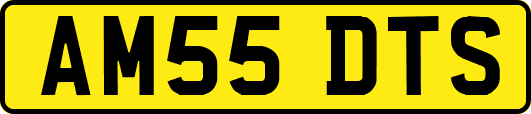 AM55DTS