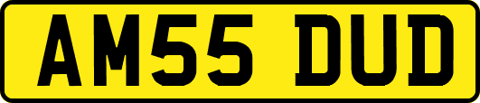 AM55DUD