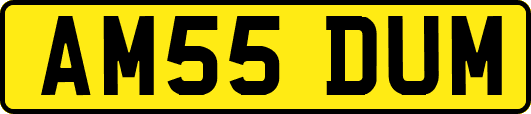 AM55DUM