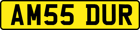 AM55DUR