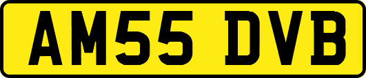 AM55DVB