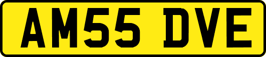 AM55DVE