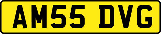 AM55DVG