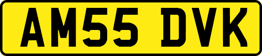 AM55DVK