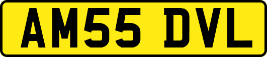 AM55DVL