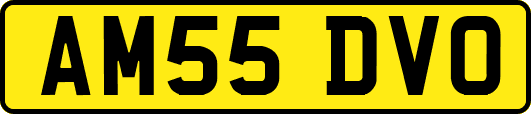 AM55DVO