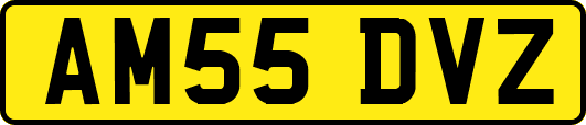 AM55DVZ