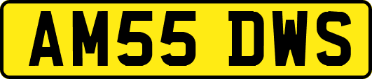 AM55DWS