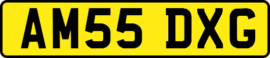 AM55DXG