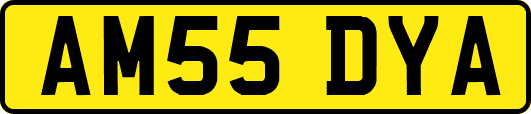 AM55DYA