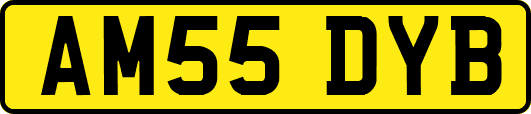 AM55DYB