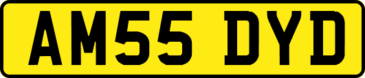 AM55DYD