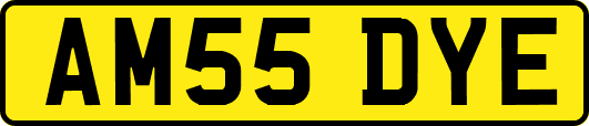 AM55DYE