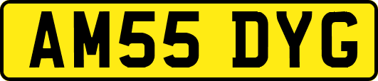 AM55DYG