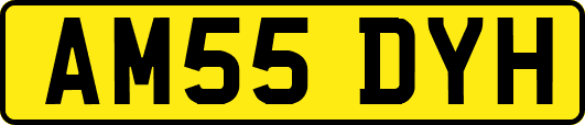 AM55DYH