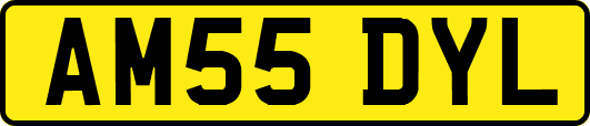 AM55DYL