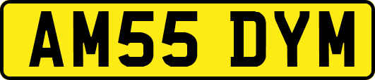 AM55DYM