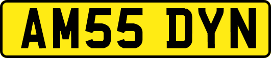 AM55DYN