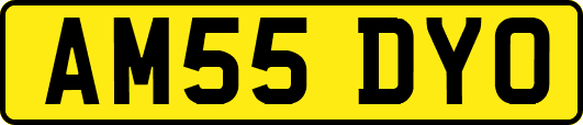 AM55DYO