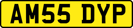 AM55DYP