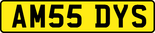 AM55DYS