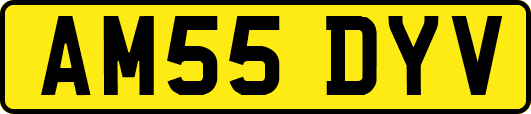 AM55DYV