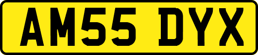 AM55DYX