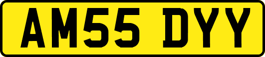 AM55DYY