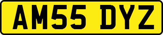 AM55DYZ