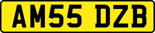 AM55DZB