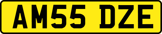 AM55DZE