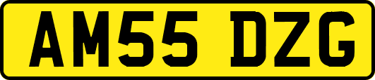 AM55DZG