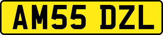 AM55DZL