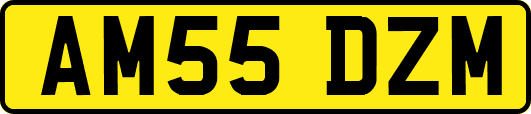 AM55DZM