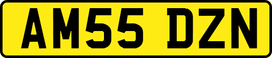 AM55DZN