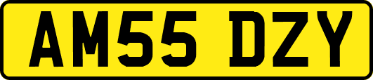 AM55DZY