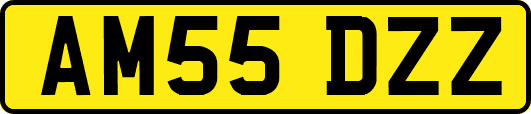 AM55DZZ