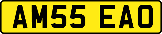 AM55EAO