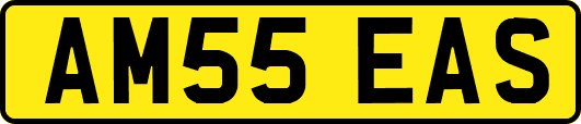 AM55EAS