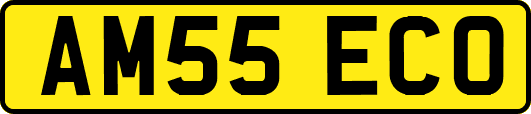 AM55ECO
