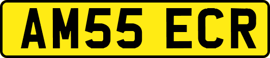 AM55ECR