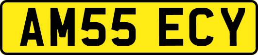 AM55ECY