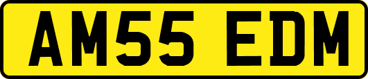 AM55EDM