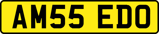 AM55EDO