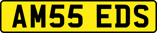 AM55EDS