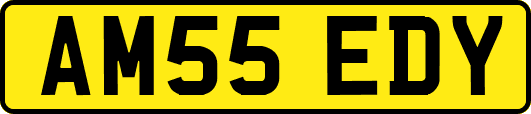 AM55EDY