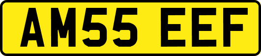 AM55EEF