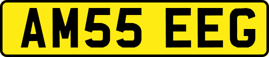 AM55EEG