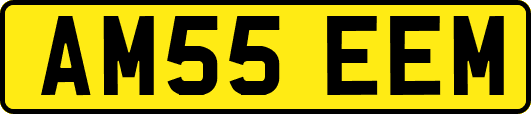 AM55EEM